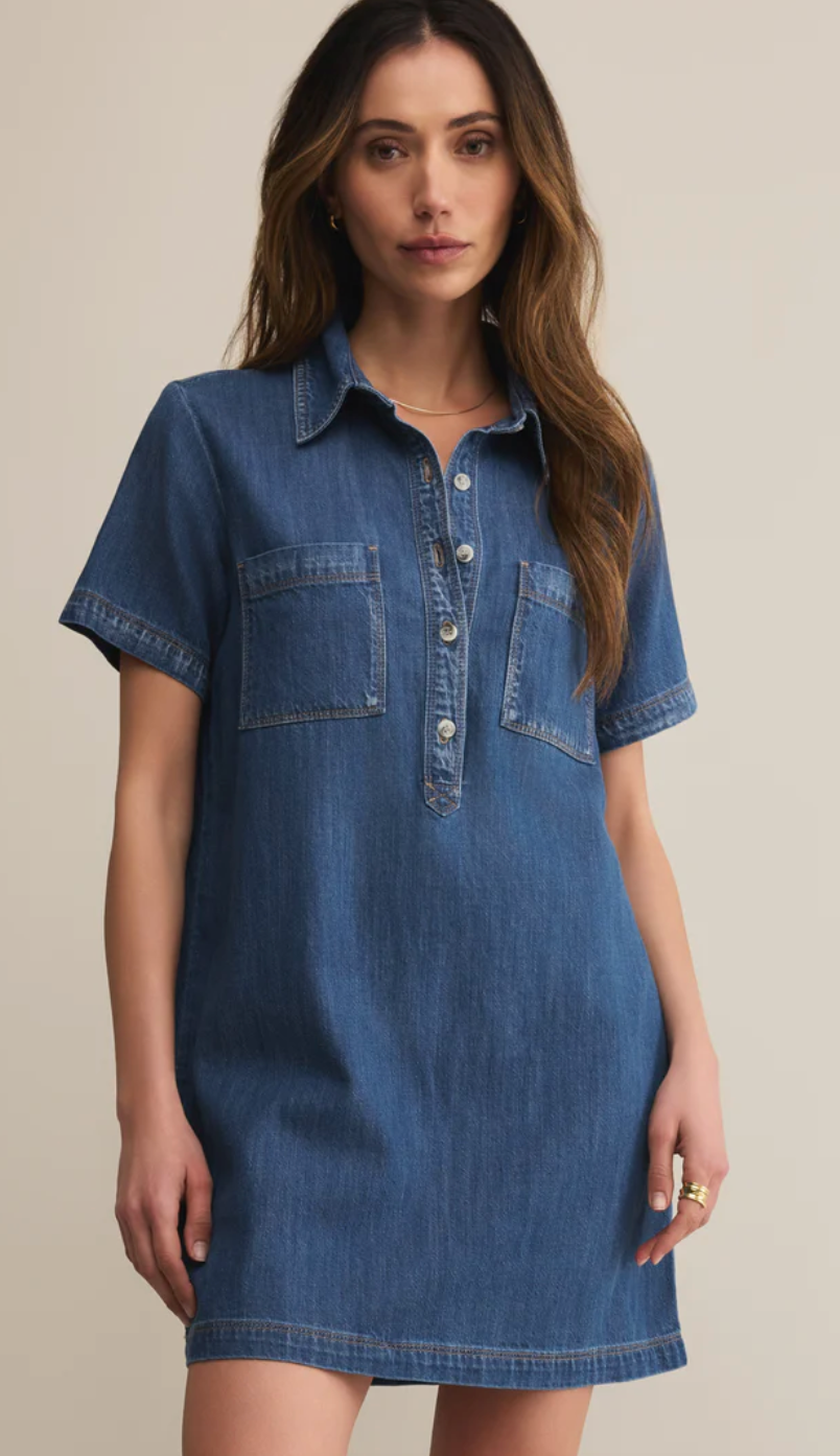 Z Supply Kellie Denim Mini Dress