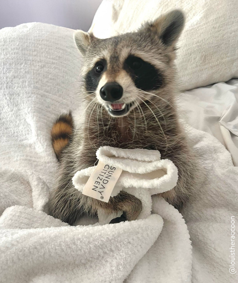 Sunday Citizen Snug Throw - Off White