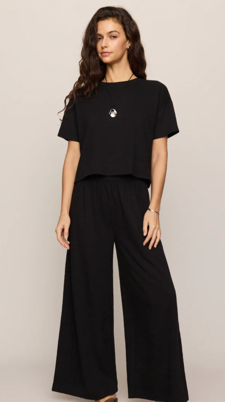 Z Supply Scout Textured Slub Pant - Black