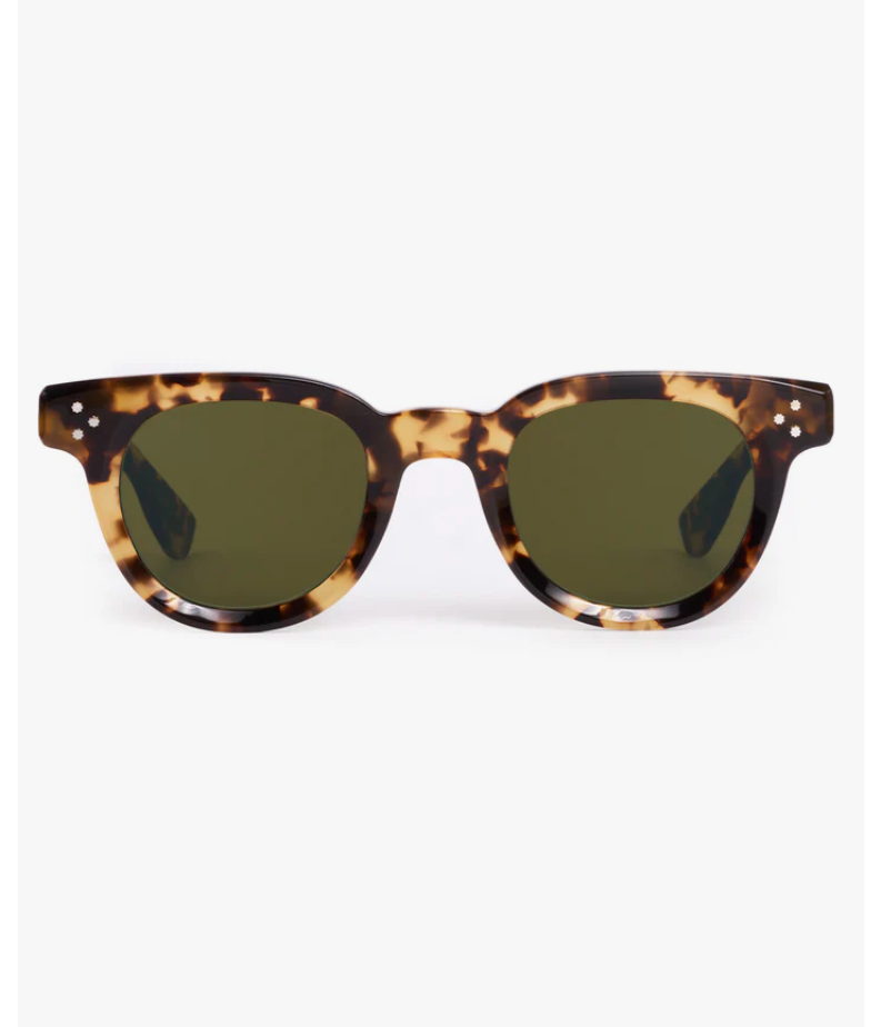 Krewe Devon Nikko Tortoise 18K