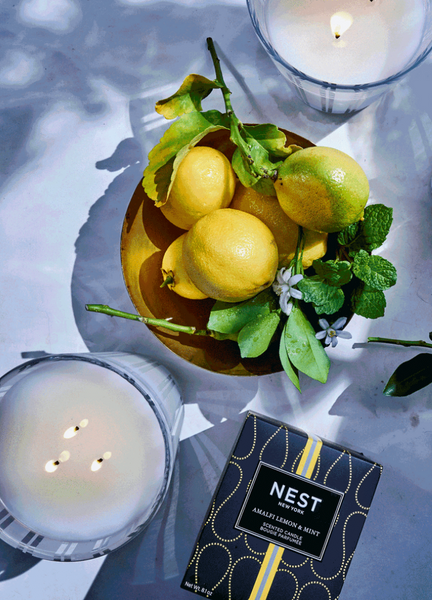 Amalfi Lemon + Mint Classic Candle