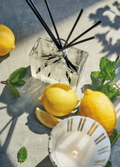 Amalfi Lemon + Mint Diffuser